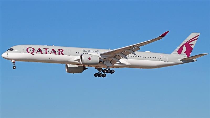 Qatar Airways: বিমানে আমিষ খাবারে মাংসের গন্ধে দম আটকে মৃত্যু বৃদ্ধের, হুলুস্থূল কাতার এয়ারওয়েজ়ে