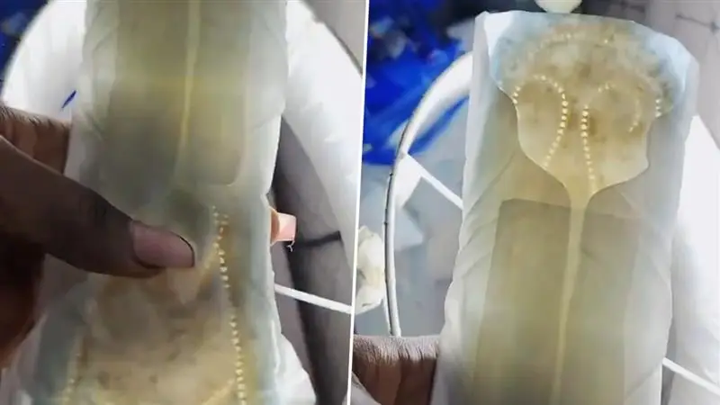 Maggots In Sanitary Napkin Video: স্যানিটারি ন্যাপকিনসের নতুন প্যাকেট খুলতেই থরে থরে পোকা, প্যাডের ভিতরে ম্যাগটের বাস, ভাইরাল ভিডিয়ো