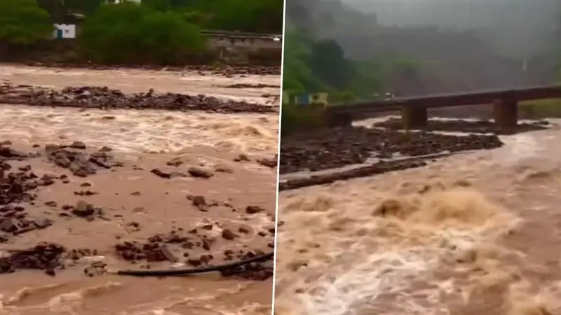 Cyclone Montha: সাইক্লোন মন্থা ভাসিয়ে নিয়ে গেল অন্ধ্রের শ্রীশৈলম, দেখুন ভিডিয়ো