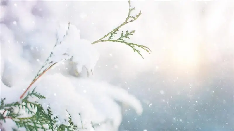 Weather Update: উত্তরবঙ্গে বন্যা, দিল্লিতে অসময়ে ভারী বৃষ্টি কীসের ইঙ্গিত দিচ্ছে? লা নিনার প্রভাবে ঠাণ্ডায় এবার জমে যাবে ভারত?