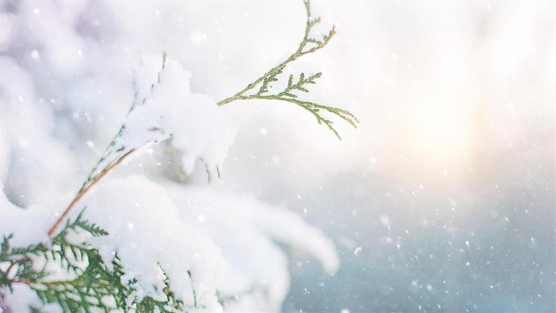Weather Update: উত্তরবঙ্গে বন্যা, দিল্লিতে অসময়ে ভারী বৃষ্টি কীসের ইঙ্গিত দিচ্ছে? লা নিনার প্রভাবে ঠাণ্ডায় এবার জমে যাবে ভারত?