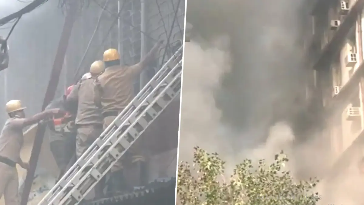 Kolkata Fire: কাকভোরে এজরা স্ট্রিটের বৈদ্যুতিন সামগ্রীর গোডাউনে ভয়াবহ অগ্নিকাণ্ড, দমকলের চেষ্টায় দিনের শেষে নিয়ন্ত্রণে আগুন