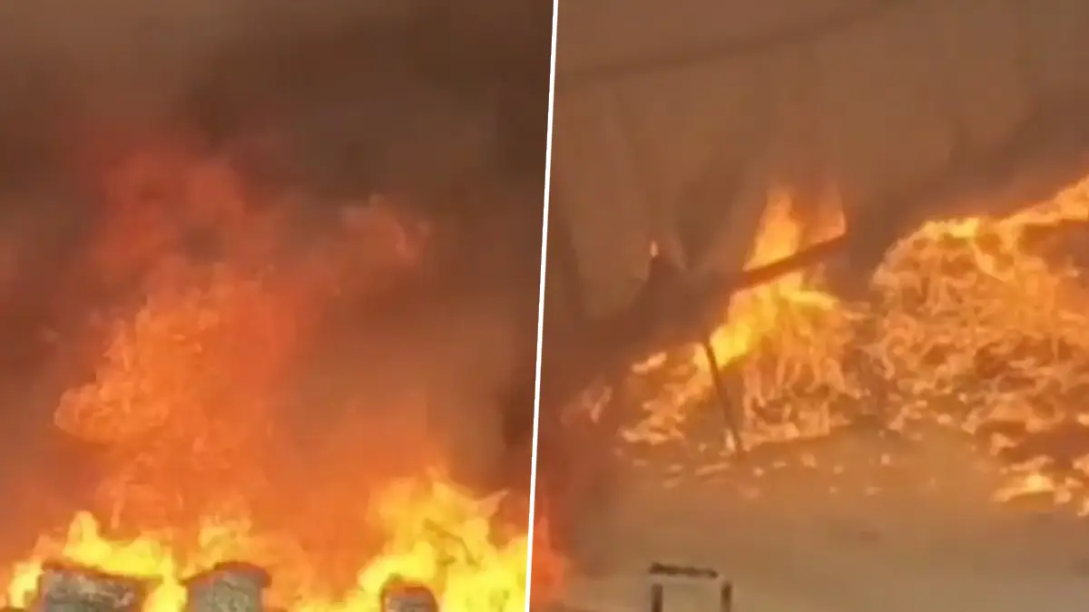 Fire Broke Out: প্লাস্টিক কারখানায় ভয়াবহ অগ্নিকাণ্ড, দেখুন ভিডিও