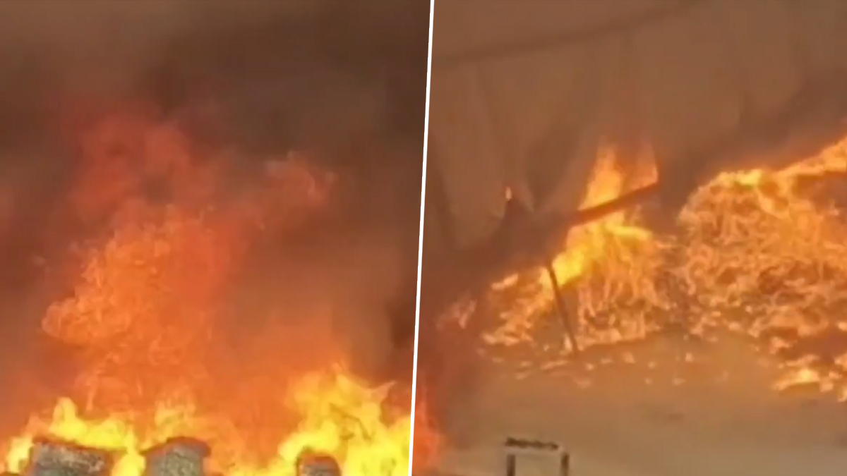 Fire Broke Out: প্লাস্টিক কারখানায় ভয়াবহ অগ্নিকাণ্ড, দেখুন ভিডিও