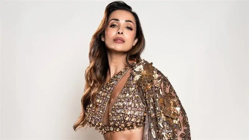 Malaika Arora: মালাইকার জীবনে নতুন প্রেম? এনরিকের কনসার্টে মালাইকার সঙ্গে রহস্যময় যুবক কি হিরে ব্যবসায়য়ী না অন্য কেউ? জানুুন পরিচয়