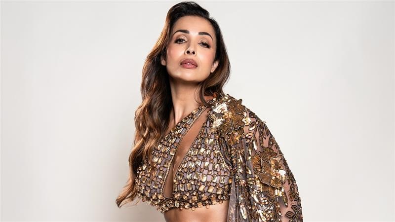 Malaika Arora: মালাইকার জীবনে নতুন প্রেম? এনরিকের কনসার্টে মালাইকার সঙ্গে রহস্যময় যুবক কি হিরে ব্যবসায়য়ী না অন্য কেউ? জানুুন পরিচয়
