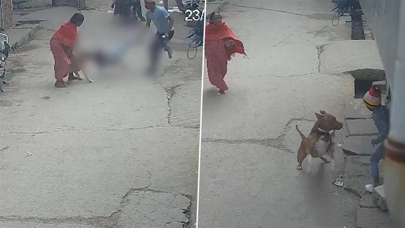 Delhi Pitbull Attacks: খেলতে খেলতে পিটবুলের হিংস্র আক্রমণের শিকার ৬ বছরের শিশু