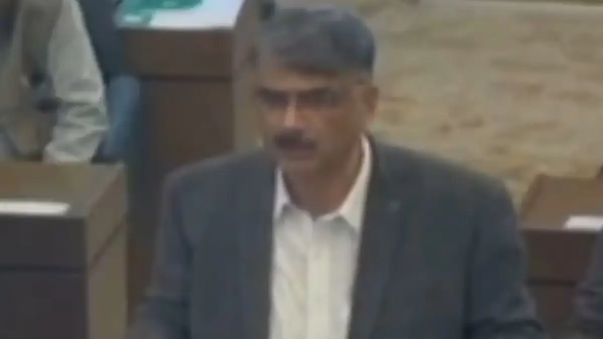 Delhi Blast: দিল্লি বিস্ফোরণের পর নিজের মুখোশ নিজেরাই টেনে ছিঁড়ে ফেলল পাকিস্তান, দেখুন ভিডিয়ো