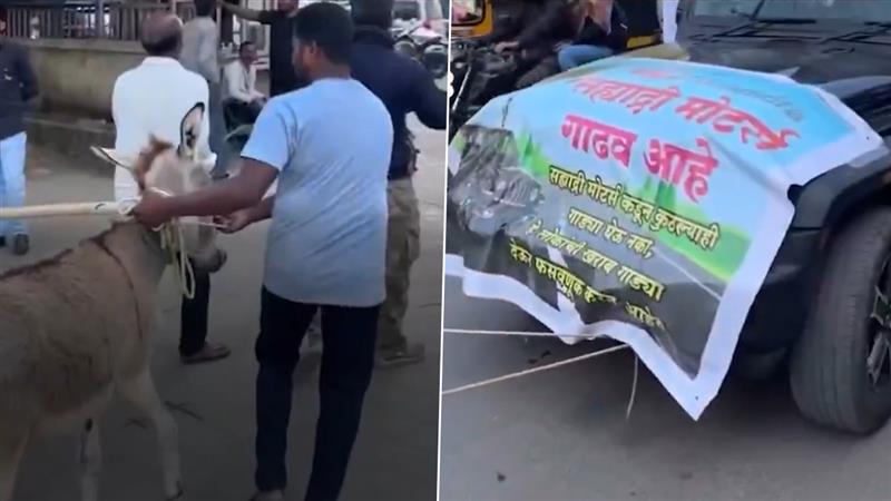 Pune Viral Video: চালক আসন শূন্য, মহিন্দ্রা থর টেনে নিয়ে যাচ্ছে গাধার দল, নেপথ্যে কী কারণ?