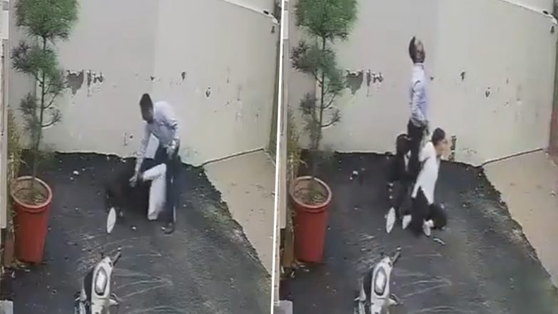 Patiala Pitbull Attack Video: ভাড়া বাড়ি দেখতে গিয়ে ভয়ানক অভিজ্ঞতা, পিটবুলের কামড়ে রক্তাক্ত দম্পতি! পাটিয়ালায় ট্র্যাজেডির পর ক্ষোভ, তৈরি হচ্ছে কড়া আইন