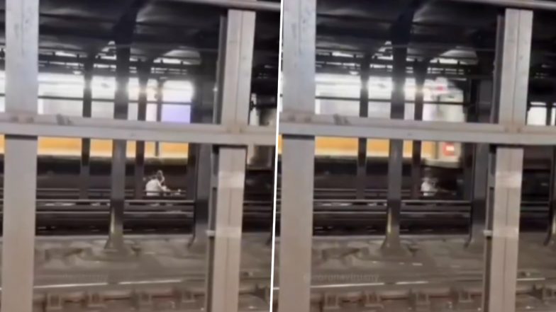 New York Subway Accident Video: ট্রেন দুর্ঘটনায় নিহত ভারতীয় বংশোদ্ভূত মালাইকা ও নেপালি-আমেরিকান নবম