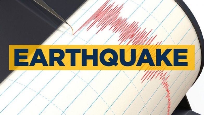 Indonesia Earthquake Video: ভয়াবহ ভূমিকম্পে কেঁপে উঠল ইন্দোনেশিয়া, বড় ক্ষয়ক্ষতি ও একাধিক আফটারশকের খবর