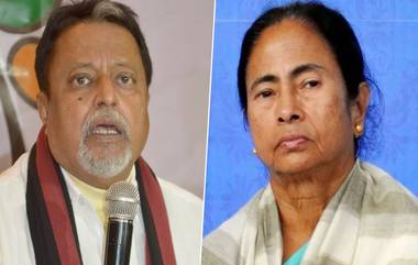 TMC vs BJP: মুকুল রায়ের কাছে ধাক্কার পর ধাক্কা খেয়ে, এখন যে কারণে তৃণমূলের মুখে হাসি ফিরছে