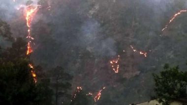 Uttarakhand Forest Fires: তীব্র দহনে জ্বলছে উত্তরাখণ্ডের বনাঞ্চল, দাবানল ছড়িয়ে পড়ার আশঙ্কায় বাসিন্দারা