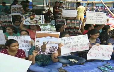 West Bengal Docto's Strike: নবান্ন নয়,মুখ্যমন্ত্রীই ঠিক করুন বৈঠকের স্থান, জানিয়ে দিলেন জুনিয়র ডাক্তাররা