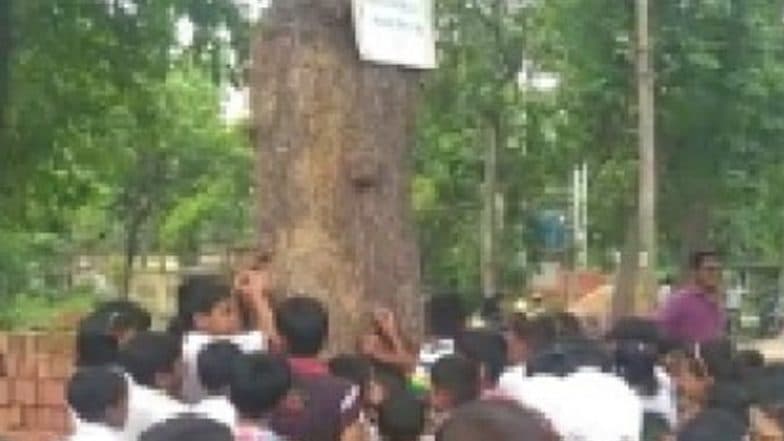 Protest Against Green Destruction: খেলব কোথায়? বুড়ো কদমগাছকে ঘিরে কান্নার রোল খুদে পড়ুয়াদের Protest Against Green Destruction: খেলব কোথায়? বুড়ো কদমগাছকে ঘিরে কান্নার রোল খুদে পড়ুয়াদের