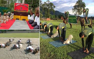 BSF-এর ডগ স্কোয়াডের কুকুরাও আজ ট্রেনারদের সঙ্গে যোগচর্চায়, দেখুন ভাইরাল ভিডিও