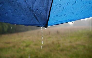 Monsoon 2019: 10 বছরে সবচেয়ে শুষ্ক জুলাই কলকাতায়, 112 বছরে সবচেয়ে বেশি বৃষ্টি মুম্বইয়ে