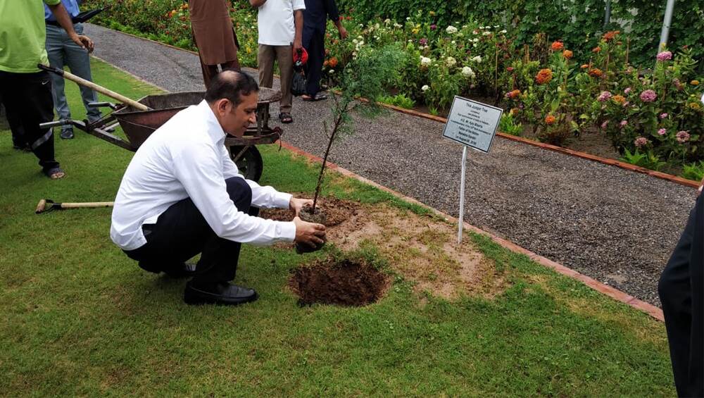 বুলেটের আঁচড় ভুলে সবুজায়নে ঢাকুক পাকিস্তান, গাছের চারা পুঁতে ইসলামাবাদ ছাড়লেন ভারতীয় রাষ্ট্রদূত, ছবি ভাইরাল বুলেটের আঁচড় ভুলে সবুজায়নে ঢাকুক পাকিস্তান, গাছের চারা পুঁতে ইসলামাবাদ ছাড়লেন ভারতীয় রাষ্ট্রদূত, ছবি ভাইরাল