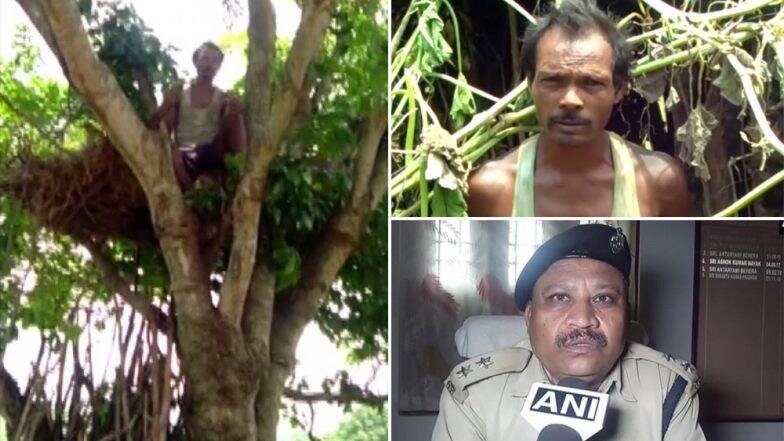 হাতির উপদ্রবে প্রাণভয়ে গাছের ওপর চড়ে 'নিরাপদে' সংসার, পাঁচ বছরের ছেলেকে নিয়ে গাছেই থাকেন সুদয়া হাতির উপদ্রবে প্রাণভয়ে গাছের ওপর চড়ে 'নিরাপদে' সংসার, পাঁচ বছরের ছেলেকে নিয়ে গাছেই থাকেন সুদয়া