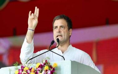 Rahul Gandhi: 'NPR ও NRC নোটবাতিলের দ্বিগুণ ধ্বংসাত্মক', বললেন রাহুল গান্ধী