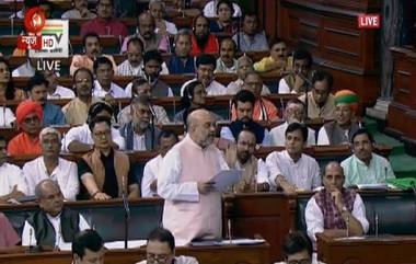 Article 370 Debate: সংসদের চলতি অধিবেশনেই মিটবে কাশ্মীর সমস্যা,  কিভাবে এগোলেন মোদি-শাহ জুটি?