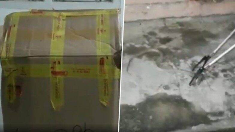 ক্যুরিয়ারের পার্সেল খুলতেই ফনা তুলে গোখরো, কী হল তারপর?(দেখুন ভিডিও) ক্যুরিয়ারের পার্সেল খুলতেই ফনা তুলে গোখরো, কী হল তারপর?(দেখুন ভিডিও)