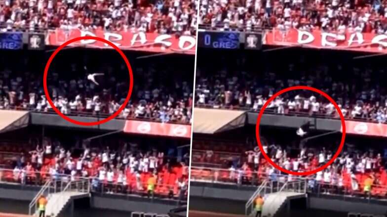 Viral: ব্রাজিলের ফুটবল স্টেডিয়ামের ৪০ ফিট ওপর থেকে পরে পা ভাঙলেন ফুটবলপ্রেমী, দেখে নিন ভিডিও Viral: ব্রাজিলের ফুটবল স্টেডিয়ামের ৪০ ফিট ওপর থেকে পরে পা ভাঙলেন ফুটবলপ্রেমী, দেখে নিন ভিডিও
