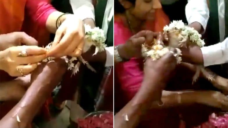 Bhopal: ব্যাঙের বিয়ে দিয়ে বৃষ্টি চাওয়া হয়েছিল, অত্যধিক বৃষ্টির জ্বালায় এবার সেই ব্যাঙ যুগলের ডিভোর্স দেওয়া হল Bhopal: ব্যাঙের বিয়ে দিয়ে বৃষ্টি চাওয়া হয়েছিল, অত্যধিক বৃষ্টির জ্বালায় এবার সেই ব্যাঙ যুগলের ডিভোর্স দেওয়া হল