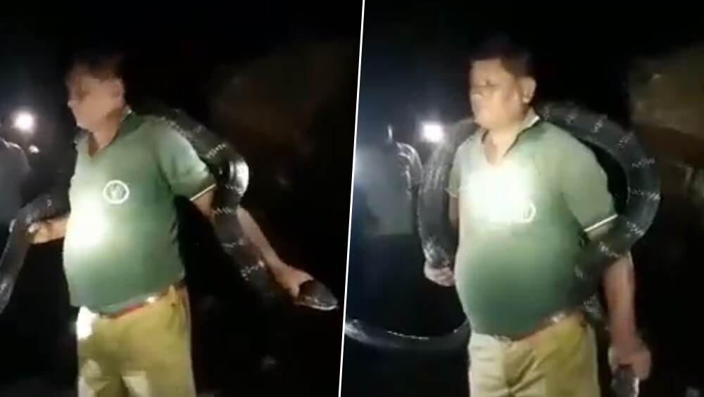 আলিপুরদুয়ার: দশ ফুট লম্বা কিং কোবরা গায়ে পেঁচিয়ে বনকর্মীর কেরামতিতে বিতর্ক (দেখুন ভিডিও) আলিপুরদুয়ার: দশ ফুট লম্বা কিং কোবরা গায়ে পেঁচিয়ে বনকর্মীর কেরামতিতে বিতর্ক (দেখুন ভিডিও)