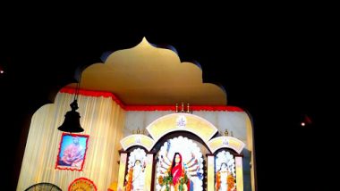 Durga Puja 2019: নীলকণ্ঠ পাখি ওড়ে রায়চৌধুরী বাড়ির দুর্গা পুজোয়, বাড়ির মেয়ের কৈলাসে ফিরে যাওয়ার আগাম বার্তা পৌঁছে দিতে দশমীতে মানা হয় এই প্রথা