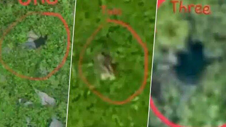 সীমান্তে অনুপ্রবেশের সময় ভারতীয় সেনার হাতে খতম পাক জঙ্গি ও সেনার দল, প্রকাশ্যে সেই ভিডিও সীমান্তে অনুপ্রবেশের সময় ভারতীয় সেনার হাতে খতম পাক জঙ্গি ও সেনার দল, প্রকাশ্যে সেই ভিডিও