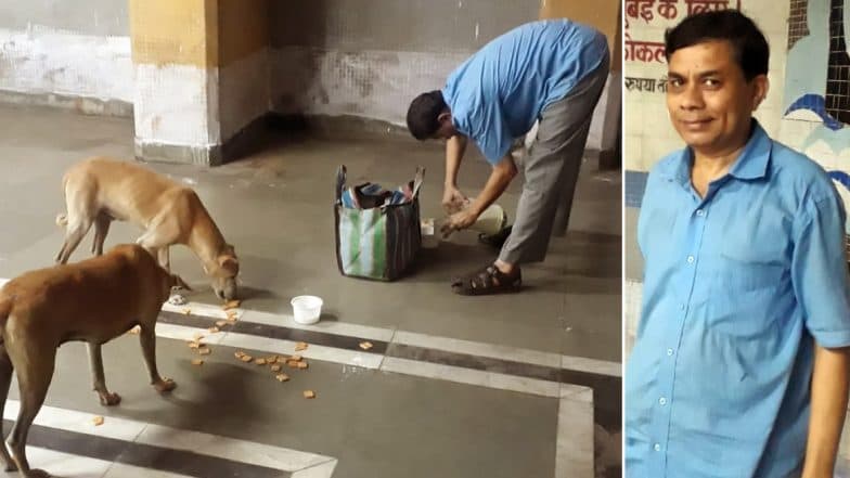 Navi Mumbai: সন্ধে নামলেই স্টেশনে স্টেশনে পথ কুকুরদের দুধ, বিস্কুট খাওয়ান জিতুভাই Navi Mumbai: সন্ধে নামলেই স্টেশনে স্টেশনে পথ কুকুরদের দুধ, বিস্কুট খাওয়ান জিতুভাই