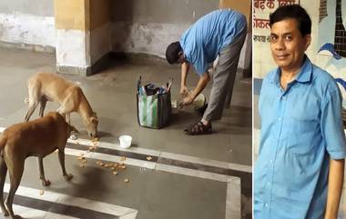 Navi Mumbai: সন্ধে নামলেই স্টেশনে স্টেশনে পথ কুকুরদের দুধ, বিস্কুট খাওয়ান জিতুভাই