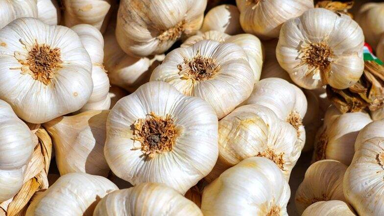Chinese Garlic: বিষাক্ত চিনা রসুনের বিক্রি রমরমিয়ে, বাড়িতে নিয়ে আসার আগে চিনুন এগুলি Chinese Garlic: বিষাক্ত চিনা রসুনের বিক্রি রমরমিয়ে, বাড়িতে নিয়ে আসার আগে চিনুন এগুলি