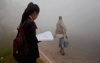 West Bengal Weather Update: দোরগোড়ায় শীত, বাঙালির মিঠে রোদে গা ভেজানো আর দিনকয়েকের অপেক্ষা