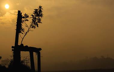 West Bengal Weather Update: পারদ নামছে, তবে ঠান্ডায় হাড় হিম হওয়ার পালা কবে শুরু হচ্ছে?