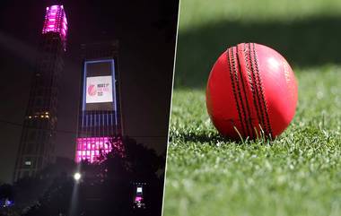 Pink Ball Fever:   শহিদ মিনার, বেন টাওয়ার থেকে হাসপাতাল ক্রিকেট জ্বরে গোলাপি হল শহর কলকাতা