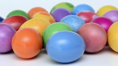 Plastic Eggs: কলকাতার হোটেলের খাবারে প্লাস্টিক ডিম? তদন্তে পুলিশ