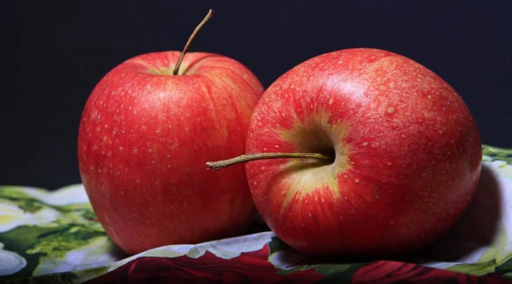 Apple Harvest Suffers in Shopian-Pulwama: কাশ্মীর উপত্যকায় প্রচুর ক্ষতির মুখে আপেলচাষীরা Apple Harvest Suffers in Shopian-Pulwama: কাশ্মীর উপত্যকায় প্রচুর ক্ষতির মুখে আপেলচাষীরা