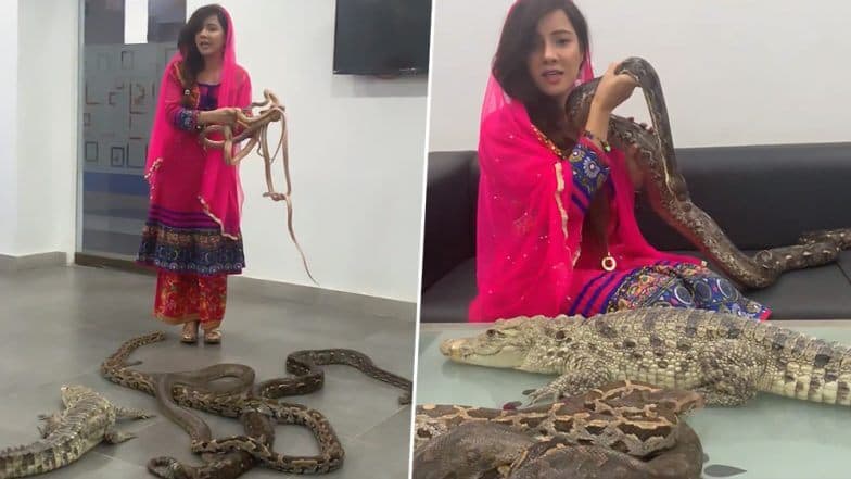Rabi Pirzada: প্রধানমন্ত্রী নরেন্দ্র মোদিকে হুমকি দেওয়া পাকিস্তানি গায়িকা রাবি পিরজাদার অশ্লীল ভিডিও ভাইরাল হল নেট দুনিয়ায় Rabi Pirzada: প্রধানমন্ত্রী নরেন্দ্র মোদিকে হুমকি দেওয়া পাকিস্তানি গায়িকা রাবি পিরজাদার অশ্লীল ভিডিও ভাইরাল হল নেট দুনিয়ায়