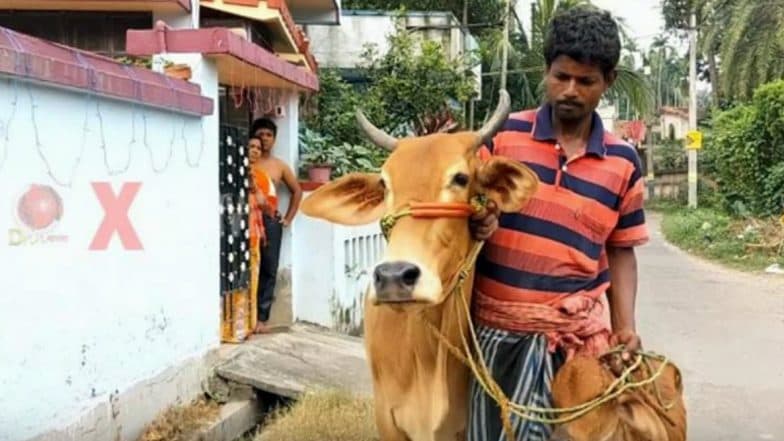 Man Wants Gold Loan Against Cows: দিলীপ ঘোষের দাবিতে ভরসা, গোল্ড লোন পেতে গোরু নিয়ে হাজির কৃষক! Man Wants Gold Loan Against Cows: দিলীপ ঘোষের দাবিতে ভরসা, গোল্ড লোন পেতে গোরু নিয়ে হাজির কৃষক!