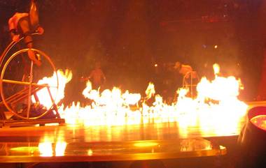 Fire at Famous Circus: হাওড়ার ফেমাস সার্কাসে বিধ্বংসী আগুন লেগে ব্যাপক ক্ষয়ক্ষতি, অগ্নিদগ্ধ হয়ে মৃত কয়েকটি ম্যাকাও