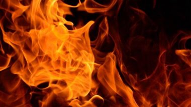 Kolkata Fire: কাকভোরে বিধ্বংসী আগুনের গ্রাসে সল্টলেক বহুতল, ঘটনাস্থলে দমকলের ১০টি ইঞ্জিন