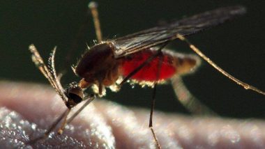 Zika Virus: করোনাকালে চোখ রাঙাচ্ছে জিকা ভাইরাস, আতঙ্ক শুরু কেরালায়
