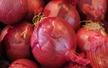 Onion Price‌ Hike: পেঁয়াজের দাম পৌঁছল একশো টাকায়! ৩০ নভেম্বর পর্যন্ত আমদানির উপর জারি নিষেধাজ্ঞা শিথিল করল কেন্দ্রীয় কৃষি দফতর