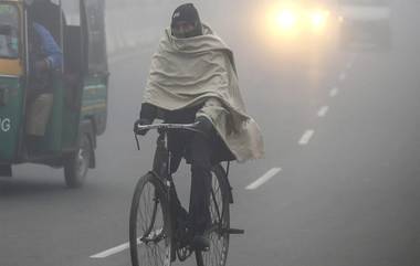 West Bengal Weather Update: কুয়াশার চাদরে মুড়ে শীত আসছে শহরে, কনকনানি ঠাণ্ডায় দার্জিলিং