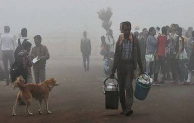 Delhi Weather: শীতলতম দিন ছাপিয়ে আরও শীতল, ২.৪ ডিগ্রি সেলসিয়াসে ১০০ বছরের রেকর্ড ভাঙল রাজধানী দিল্লি