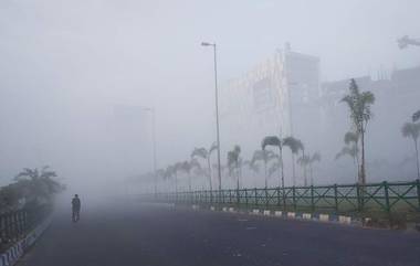 West Bengal Weather Update: বুধবার থেকেই বঙ্গে জাঁকিয়ে পড়বে শীত, সাফ জানাল আবহাওয়া দফতর