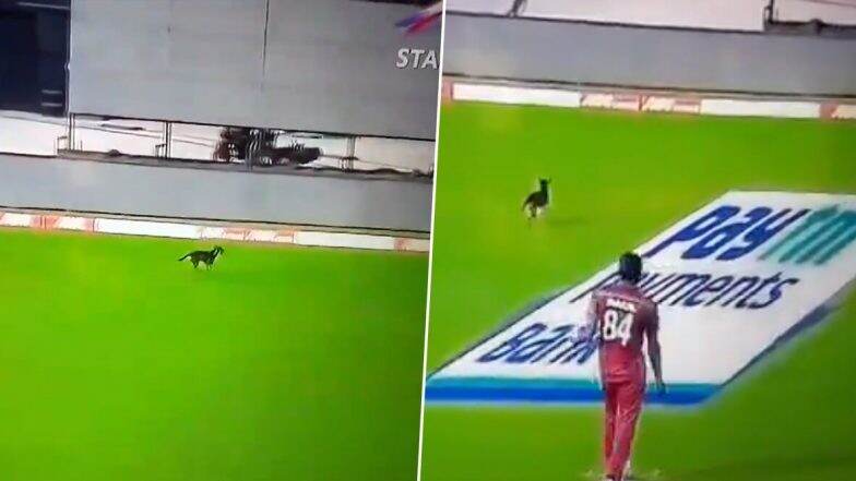 India vs West Indies 1st ODI 2019: āĻāϞāϤāĻŋ āĻŽā§āϝāĻžāĻā§āĻ āĻā§āϰāĻŋāĻā§āĻ āĻĒāĻŋāĻā§ āϤā§ā§ā§ āĻāϞ āĻā§āĻā§āϰ! āĻĻā§āĻā§āύ āĻāĻŋāĻĄāĻŋāĻ
